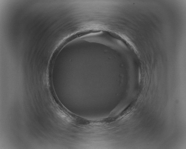 X0000067890391200604131334