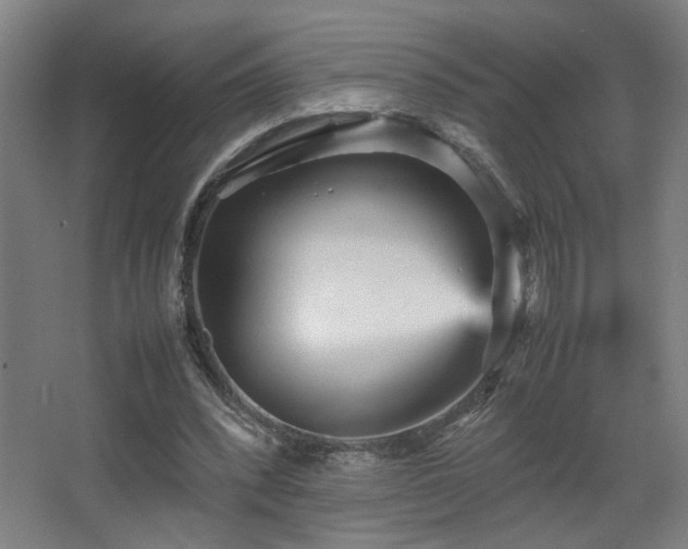 X0000067890392200604131334