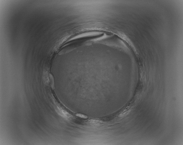 X0000067890393200604131334