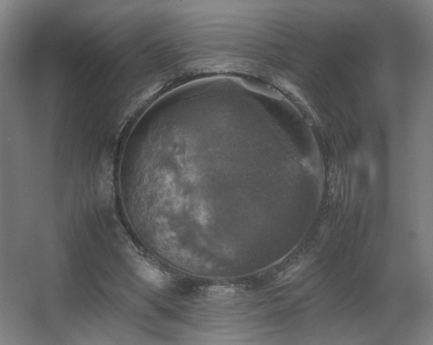 X0000067890394200604131334