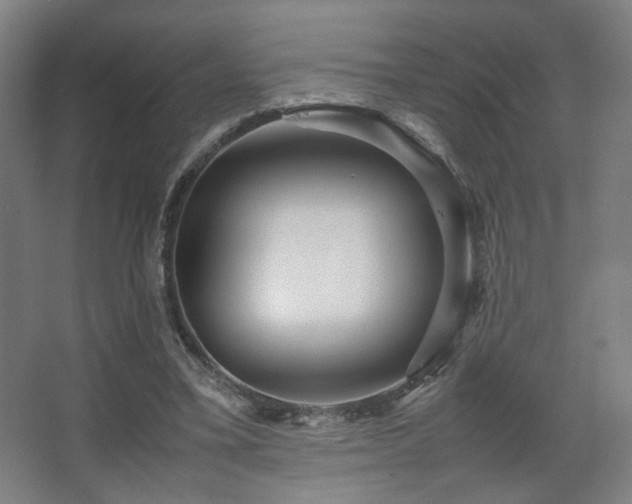 X0000067890395200604131334