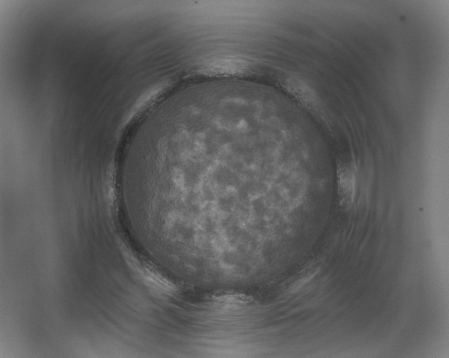 X0000067890396200604131334