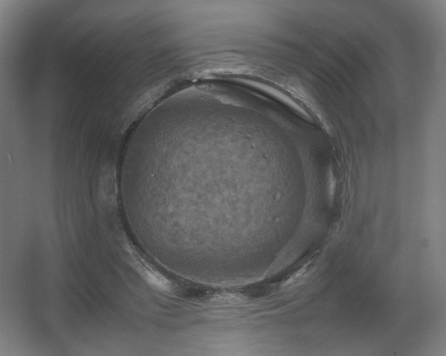 X0000067890397200604131334