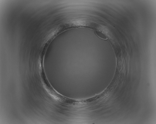 X0000067890398200604131334