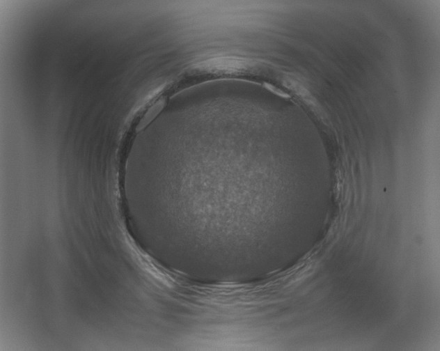 X0000067890399200604131334