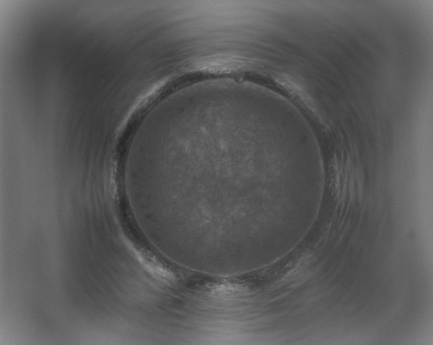 X0000067890400200604131334