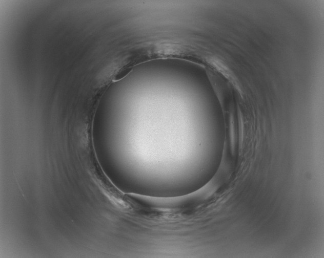 X0000067890401200604131334