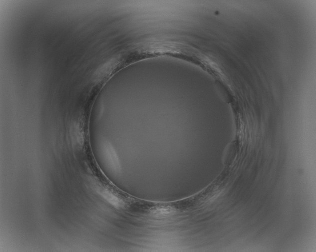 X0000067890402200604131334