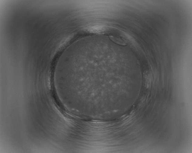 X0000067890404200604131334