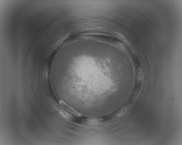 X0000067890405200604131334