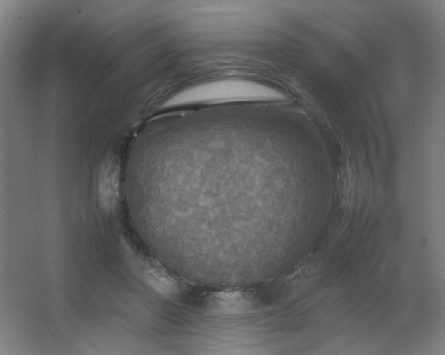 X0000067890406200604131333