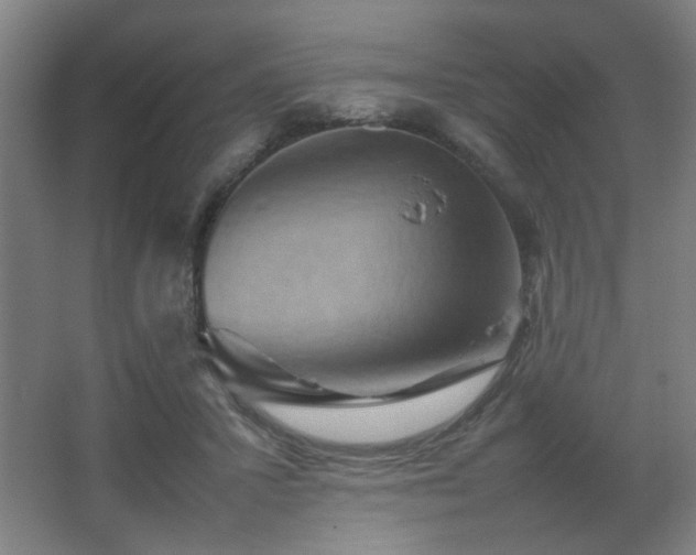 X0000067890407200604131333