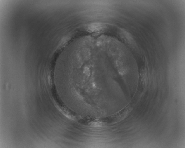 X0000067890408200604131333