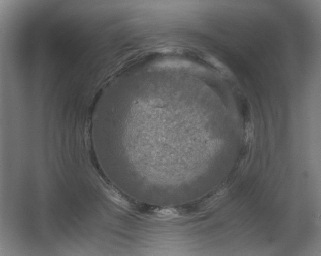 X0000067890409200604131333