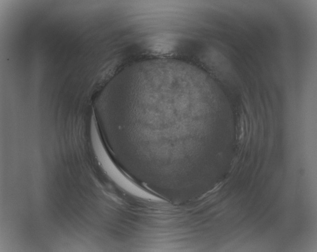 X0000067890412200604131333