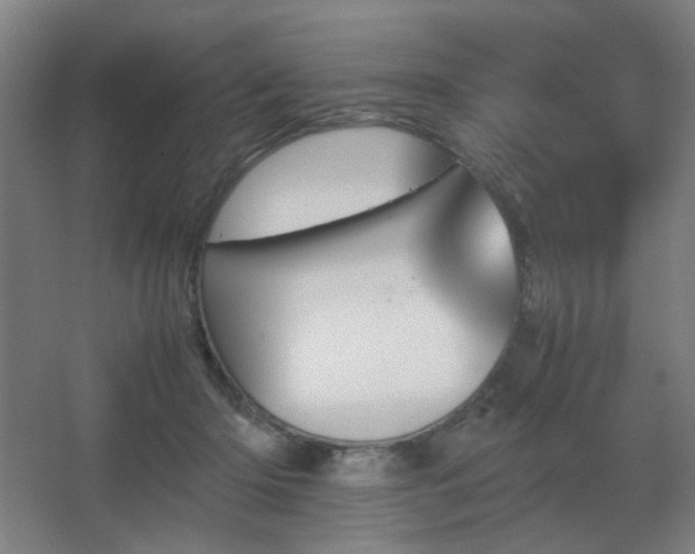 X0000067890414200604131333