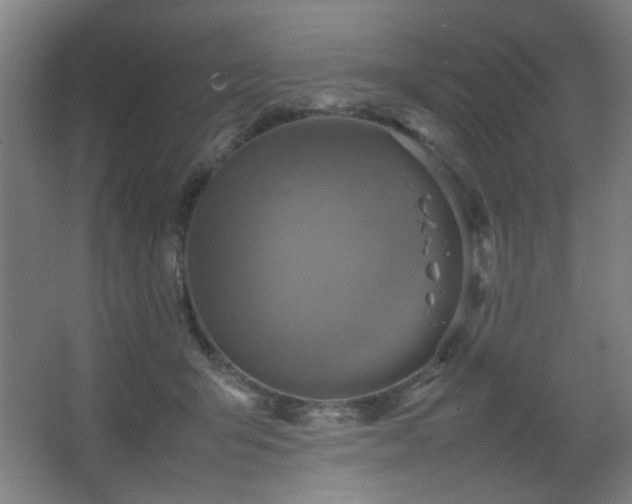 X0000067890415200604131333