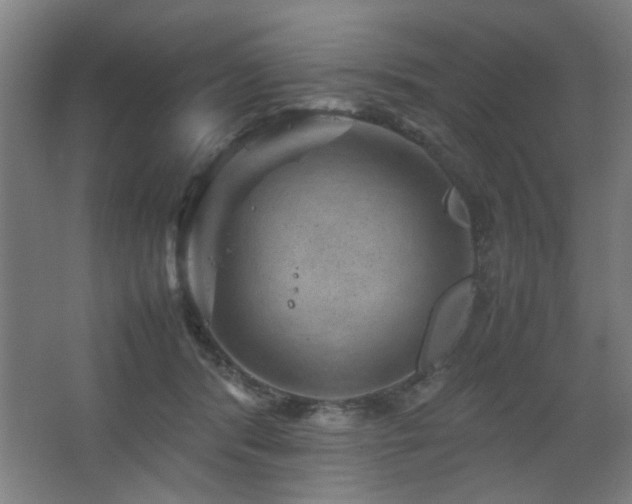 X0000067890416200604131333