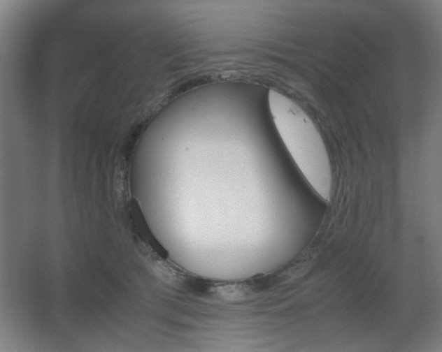 X0000067890417200604131333