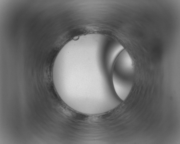 X0000067890418200604131333