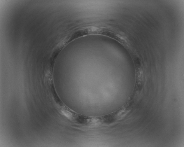 X0000067890419200604131333