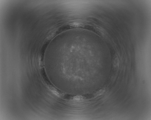 X0000067890420200604131333