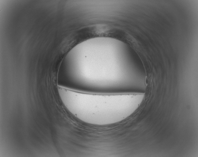 X0000067890421200604131333