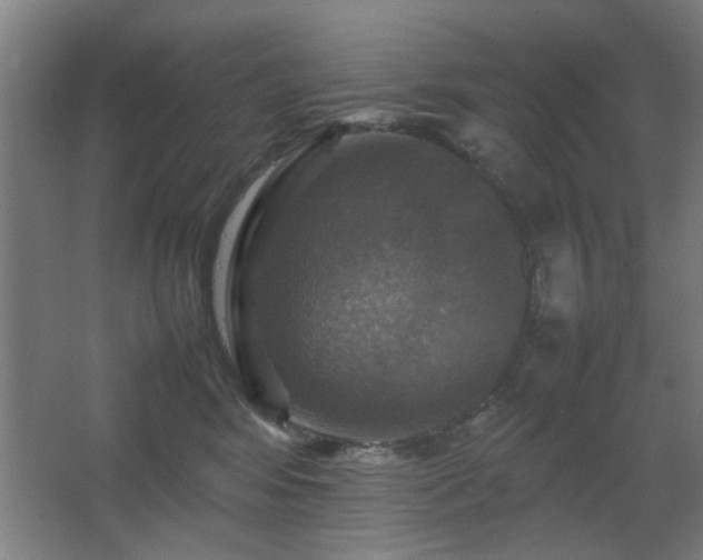 X0000067890424200604131333