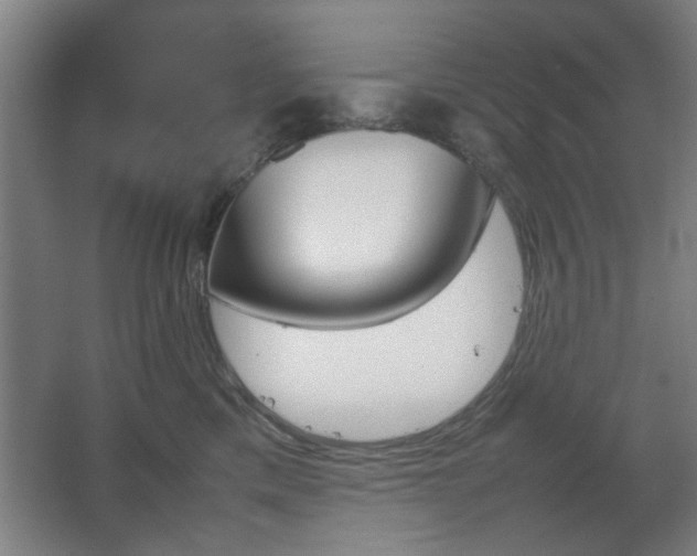 X0000067890425200604131333