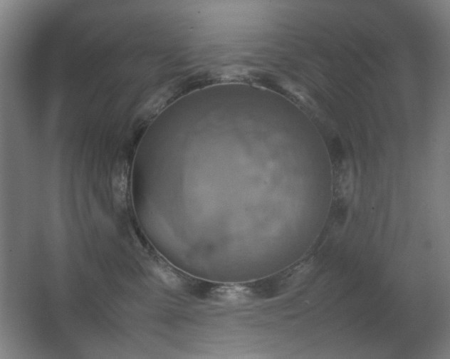 X0000067890427200604131333