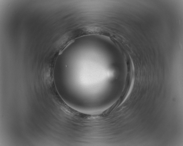 X0000067890428200604131333