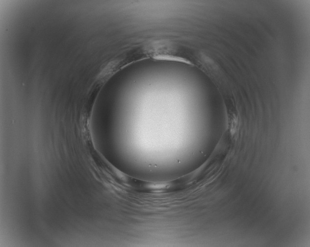 X0000067890429200604131333