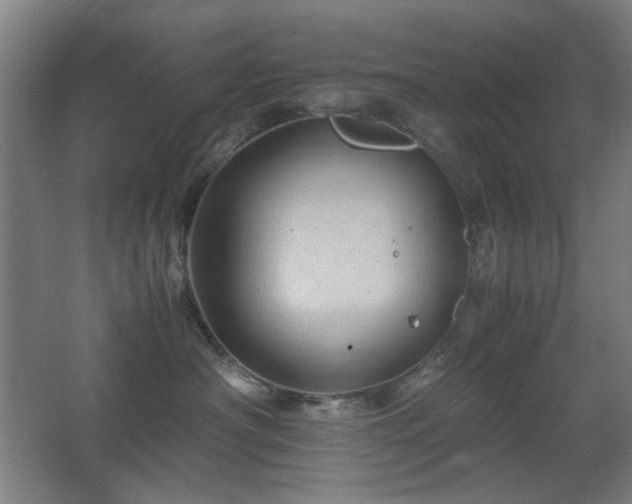 X0000067890430200604131333