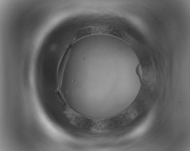 X0000067890431200604131333