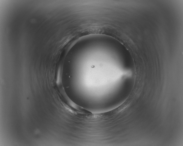 X0000067890432200604131333