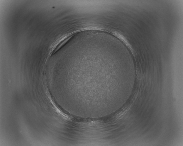 X0000067890433200604131332