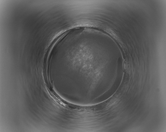 X0000067890434200604131332