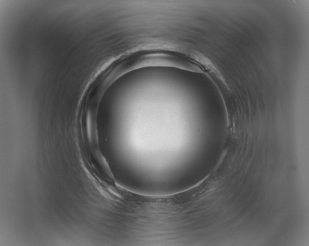 X0000067890436200604131332