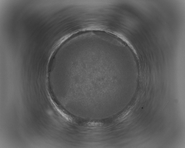 X0000067890437200604131332