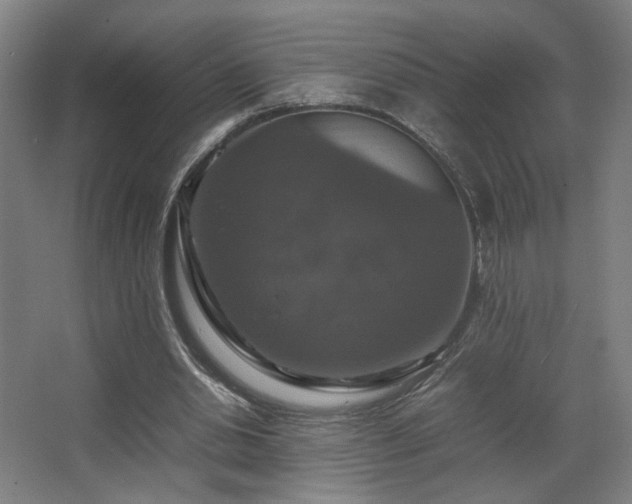 X0000067890438200604131332