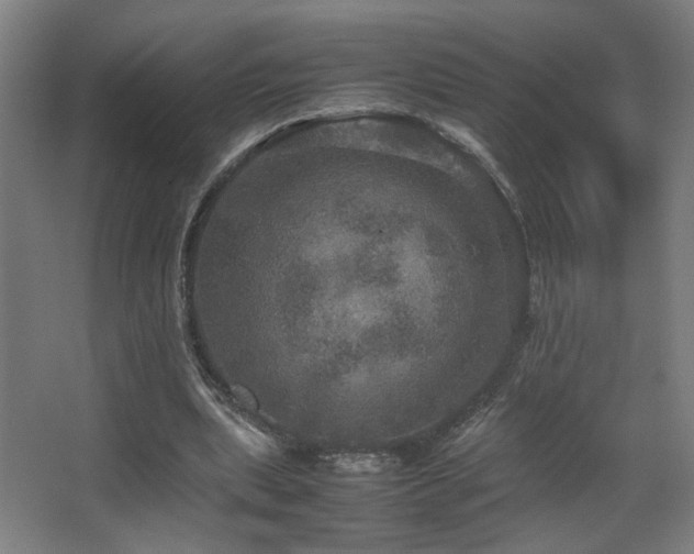 X0000067890439200604131332