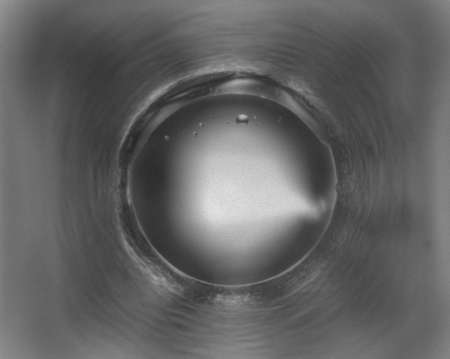 X0000067890440200604131332