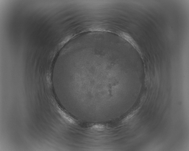 X0000067890441200604131332