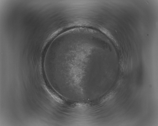 X0000067890442200604131332