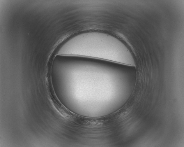 X0000067890443200604131332