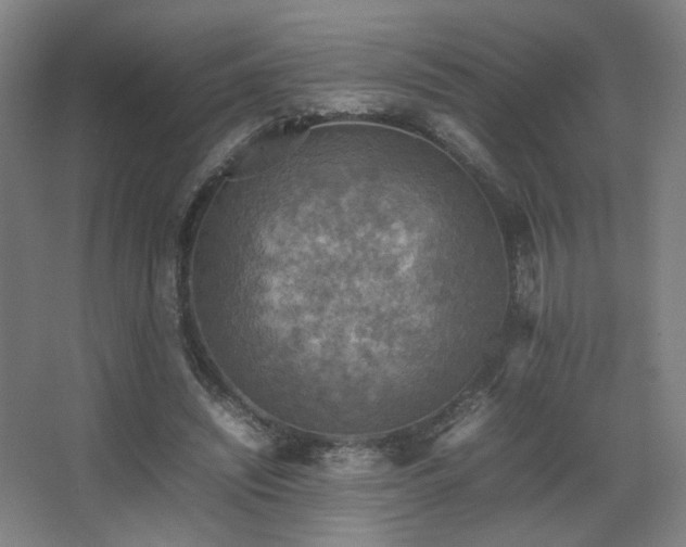 X0000067890444200604131332