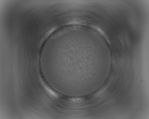 X0000067890445200604131332