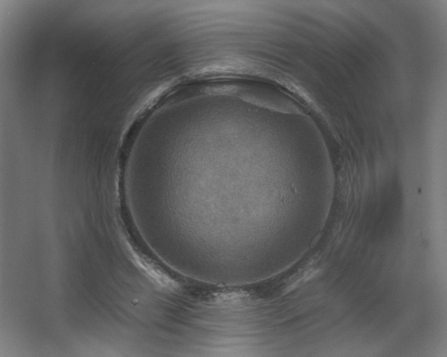 X0000067890446200604131332