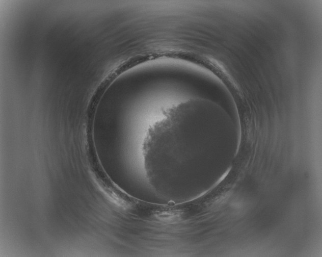 X0000067890447200604131332