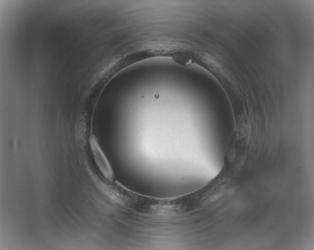 X0000067890448200604131333